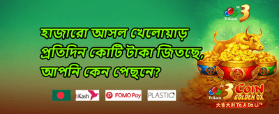 মেগা রিওয়ার্ডস 010 promotion